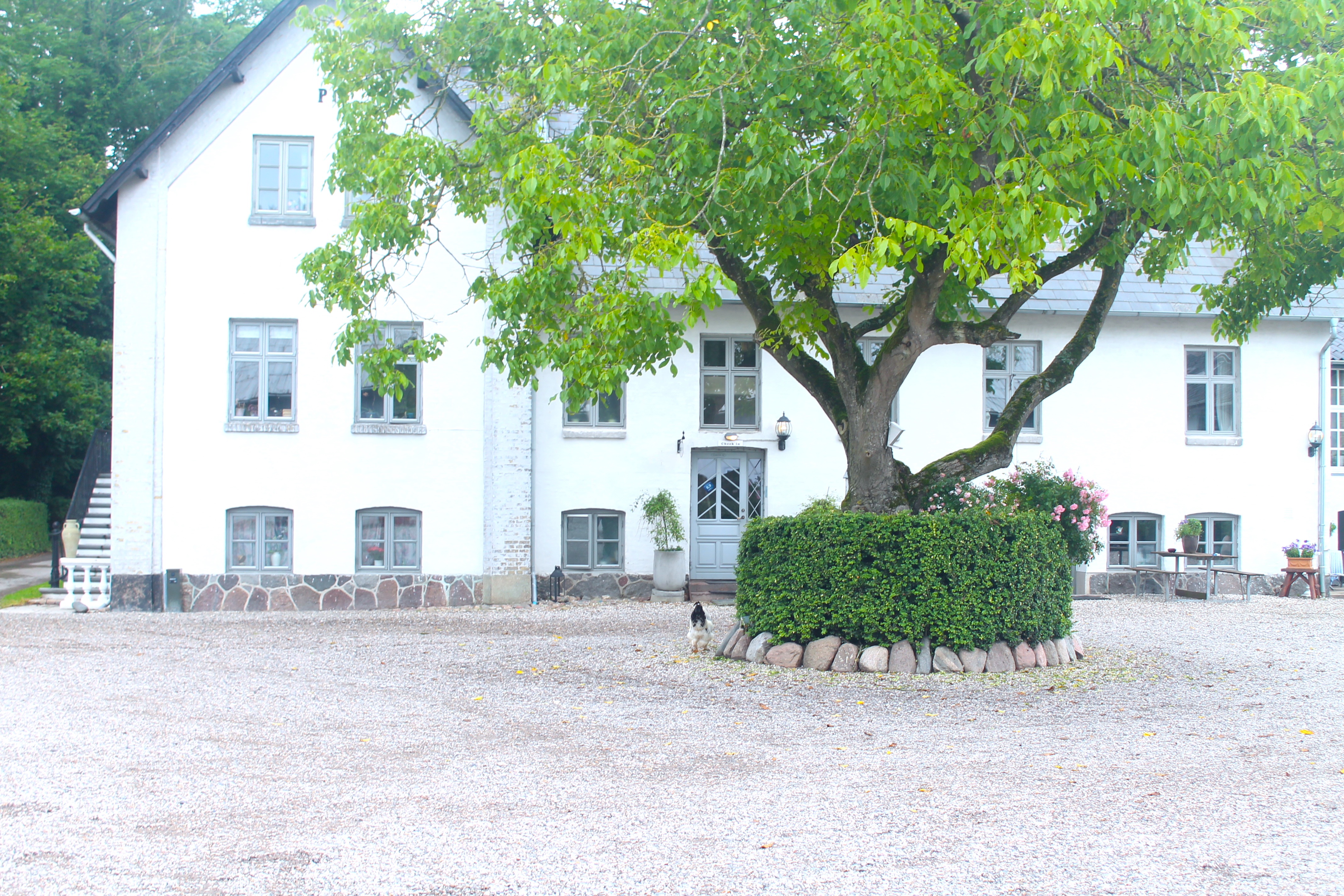 Billig Overnatning Lolland På Skelstrupgård B&B I Dansk Gårdidyl